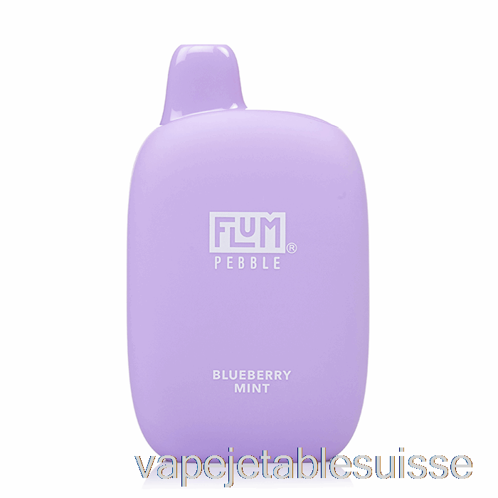 Vape Suisse Flum Pebble 6000 Jetable Myrtille Menthe